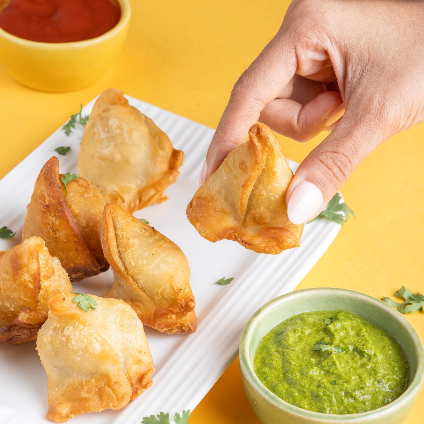 Spiced Paneer Samosa